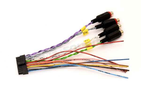Picture of CBT 1