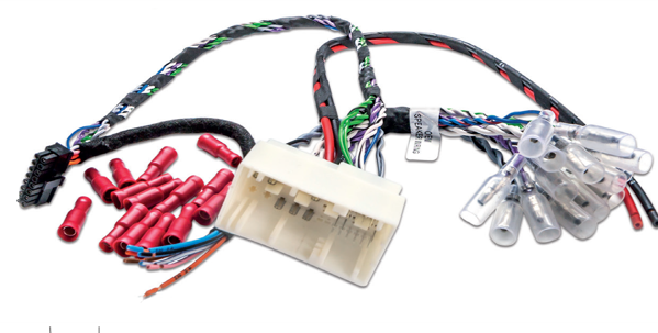 Picture of APBMW ReAMP 1